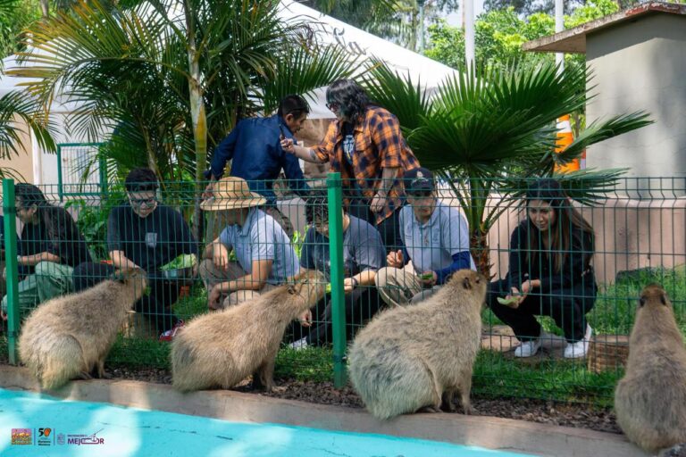 A Partir De Este Lunes El Zoo De Morelia Tendrá Horario Vacacional De 10:00 A 18:00 Horas - Changoonga.com