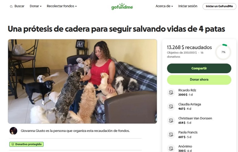 Anna Es Una Rescatista Moreliana De Peludos Que Necesita De Tu Ayuda Para Operar Su Cadera  - Changoonga.com