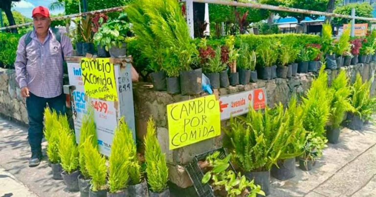 Ante crisis, cambian plantas por comida en Veracruz