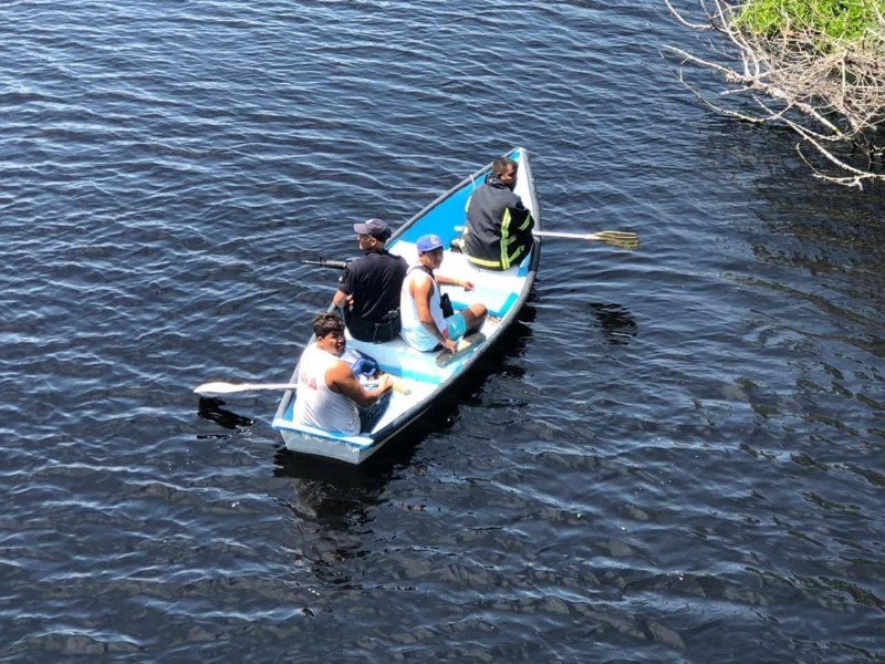 Buscan a menor entre cocodrilos en Lázaro Cárdenas