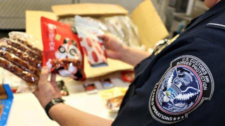 CBP reveló que ya incautó miles de estos alimentos en la frontera de Estados Unidos (evitó plagas)