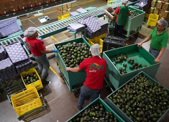 Del proteccionismo al libre mercado