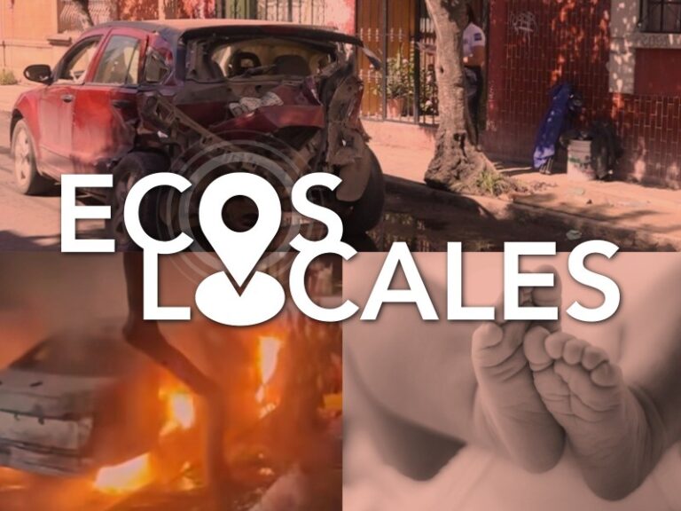 Ecos Locales: Bombas Molotov, Choque, Recién Nacido en Parcela, Cocodrilos