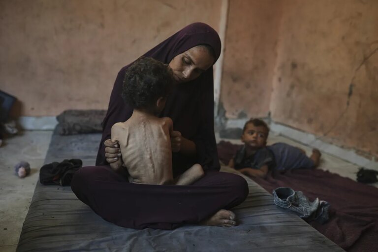 El ejército israelí anuncia pausas diarias en la Franja de Gaza para asegurar y aumentar la ayuda humanitaria