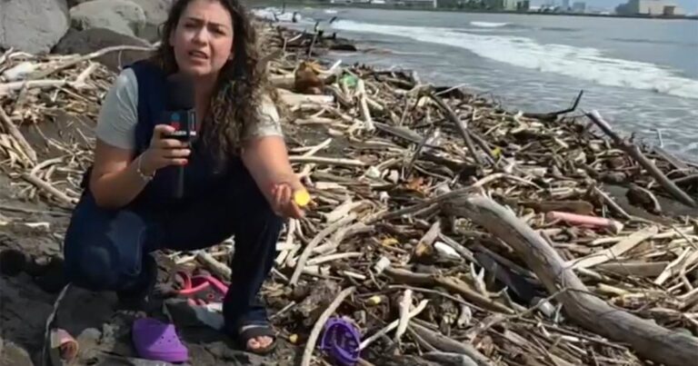 Esta es la playa de Veracruz donde más plásticos se han detectado
