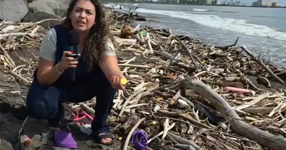 Esta es la playa de Veracruz donde más plásticos se han detectado