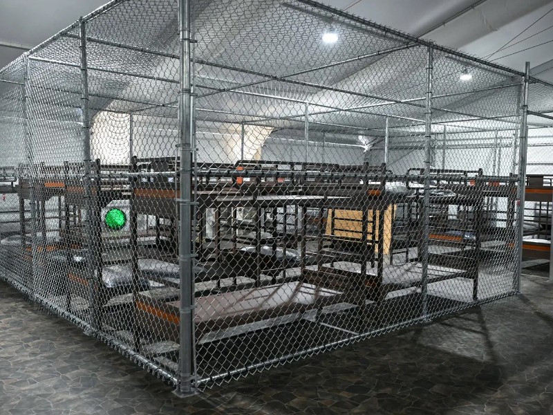 Hermanos mexicanos logran salir de Alligator Alcatraz