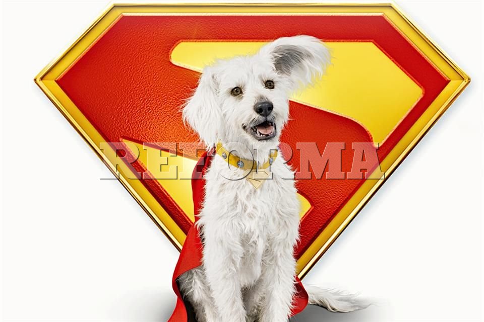 Impulsa 'Superman' la adopción de perros gracias a Krypto