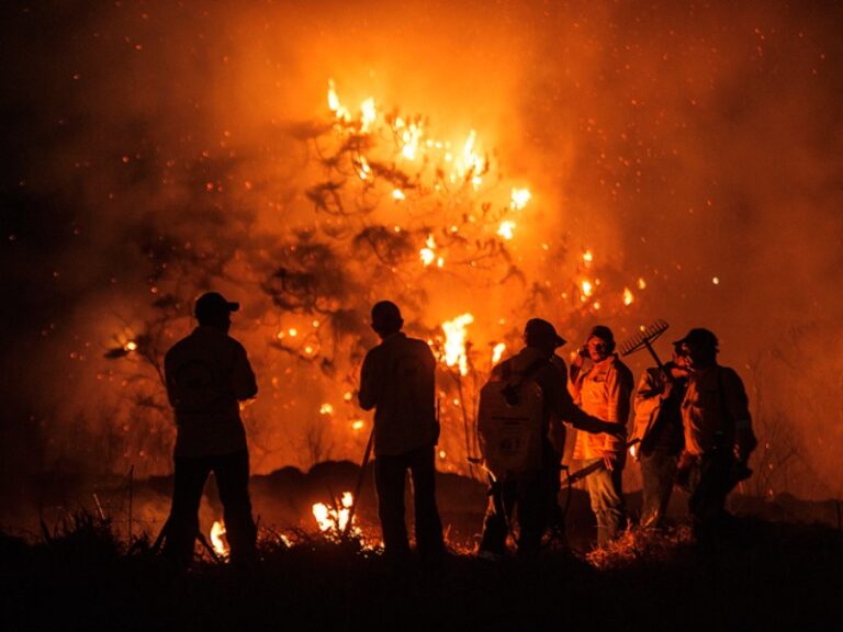 Incendios forestales en la primavera bajaron 47 por ciento