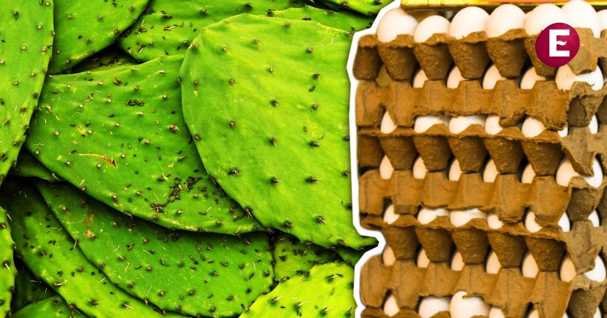 Inflación de México baja en primera quincena de julio de 2025