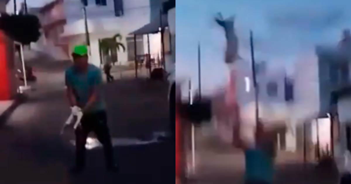Lanzan a gata recién operada y desatan furia en Alvarado