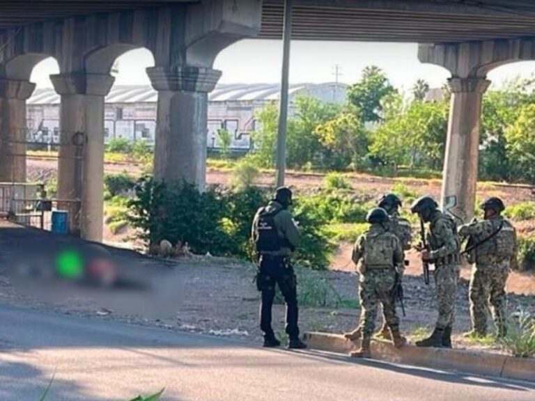 Localizan al menos 3 asesinados bajo el puente Rolando Arjona