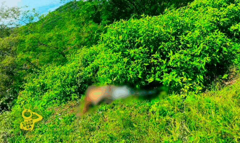 #Michoacán Identifican Al Asesinado En Carretera De Carácuaro: Era Habitante De Huetamo - Changoonga.com
