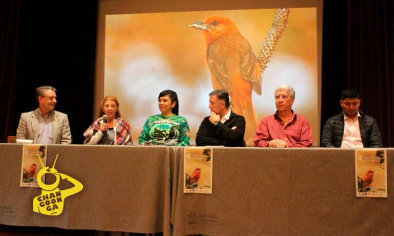 #Michoacán Invitan A "Pajarear" Durante El 4to Festival De Avistamiento De Aves - Changoonga.com