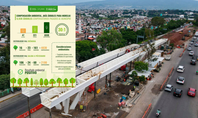 #Michoacán Se Repusieron 30 Árboles Por Cada Árbol Derribado Por Obras Viales - Changoonga.com