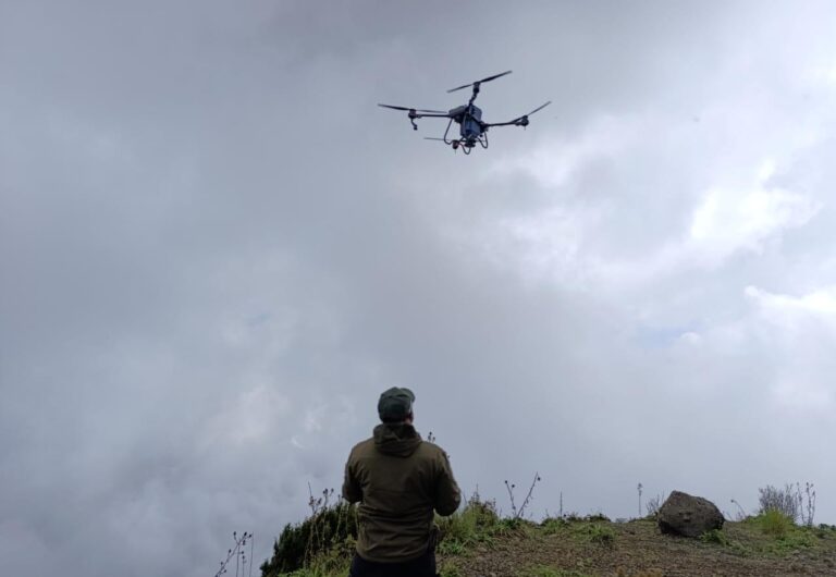 Michoacán Siembra 24 Mil Semillas De árboles con Drones En Paracho Y Uruapan - Changoonga.com