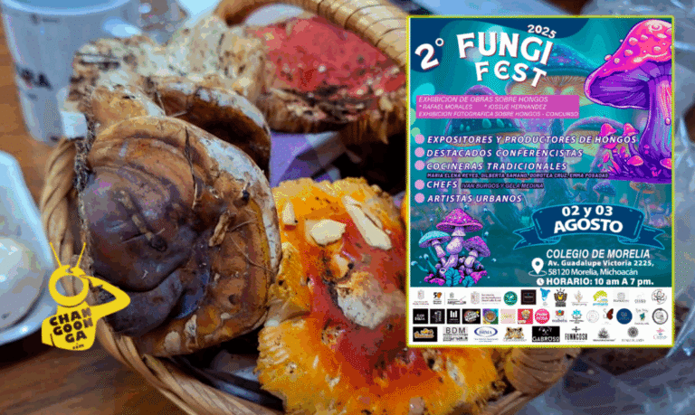 #Morelia Vive El Hongosto Con Chelitas Artesanales Y Platillos Tradicionales En El Fungi Fest 2025 - Changoonga.com