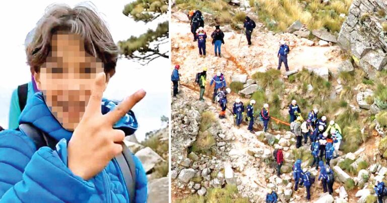 Nadie frenó a Paolo reporte llegó tarde