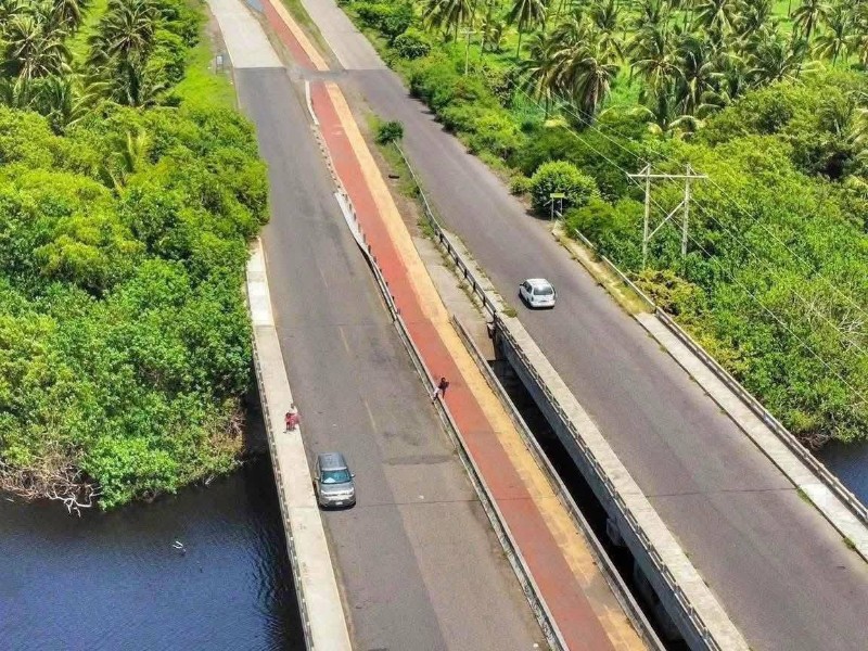“No es el primer caso”: alertan riesgo mortal en zona de cocodrilos