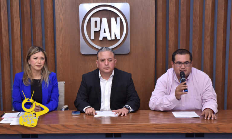 Nos Preocupa Más Que Llegue A La Fiscalía Alguien Sin Preparación, Que Un "Carnal": PAN Michoacán - Changoonga.com
