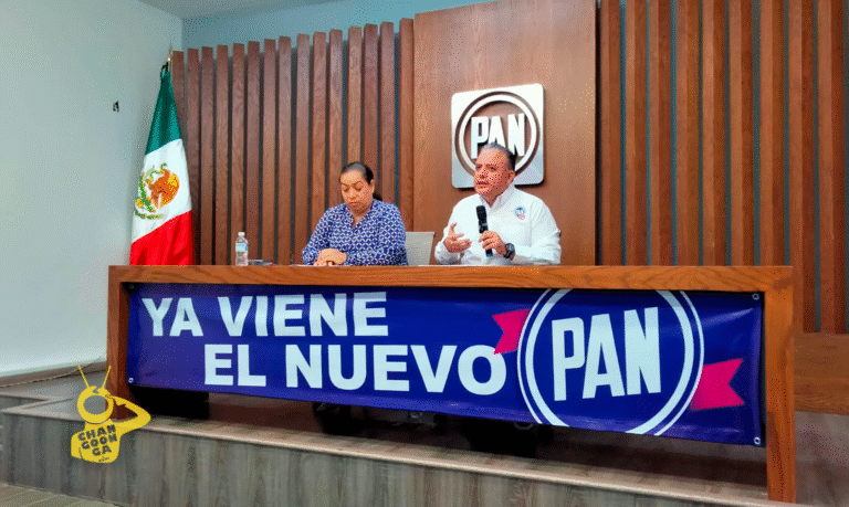 PAN Michoacán Defiende A Torres Piña Y Niega Que Sea Un Fiscal "Carnal" - Changoonga.com