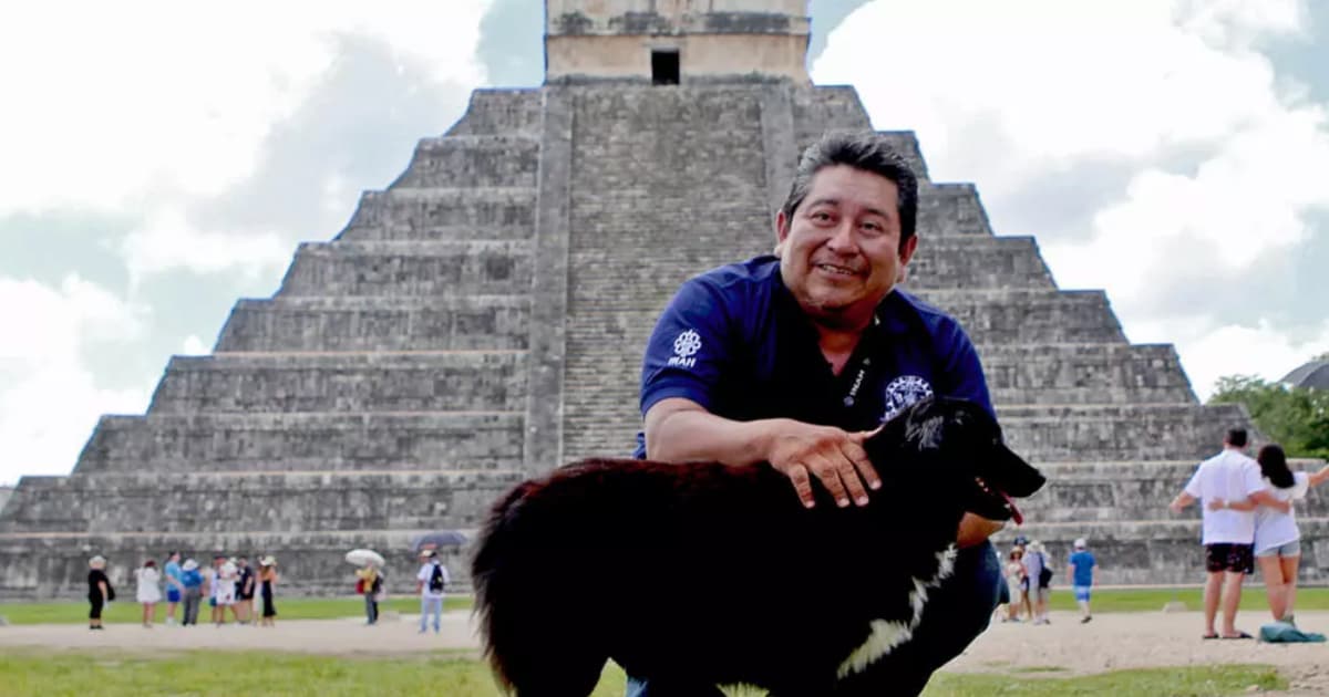 Perros rescatados en México custodian el legado maya de Chichén Itzá  