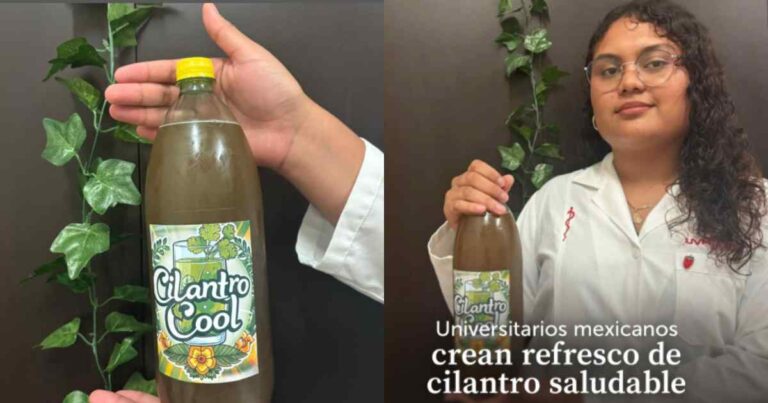 Refresco de cilantro, es mexicano y también saludable