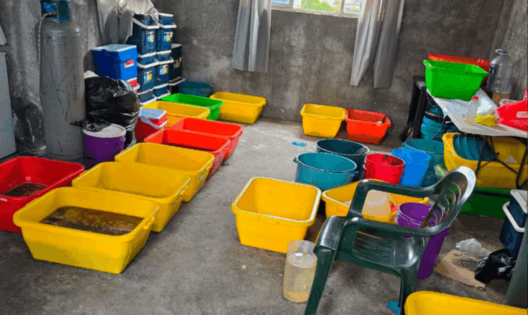 Revientan Laboratorio Clandestino En Morelia; Hay 2 Detenidos Y 800 Kg De Droga Asegurada - Changoonga.com