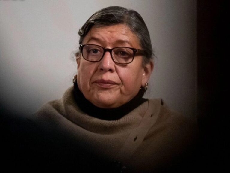 Teresa Reyes deja la CNB, gobierno ya busca relevo