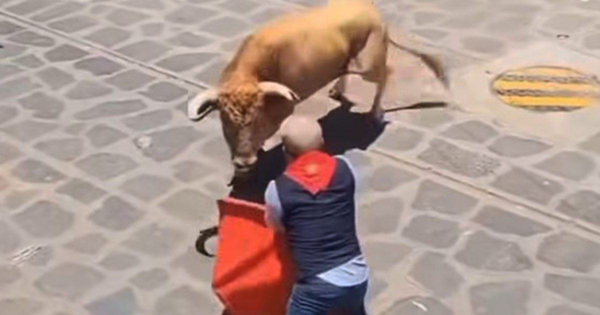 Toro embiste a envalentonado en la llamada Xiqueñada; ¿quién regula?