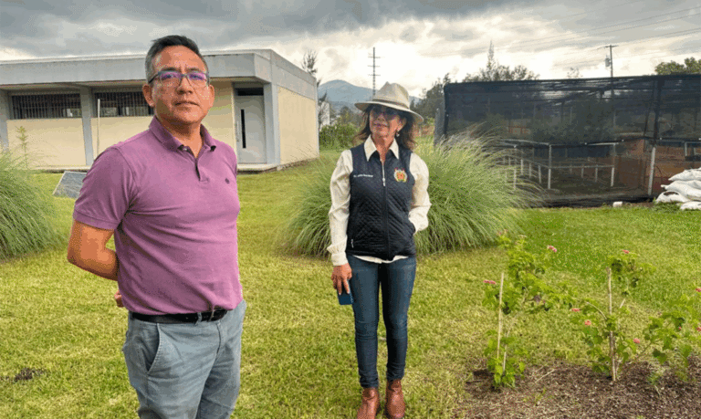 UMSNH Pone En Marcha Proyecto De "Jardín Para Polinizadores", Busca Abonar En El Cuidado Del Medio Ambiente - Changoonga.com