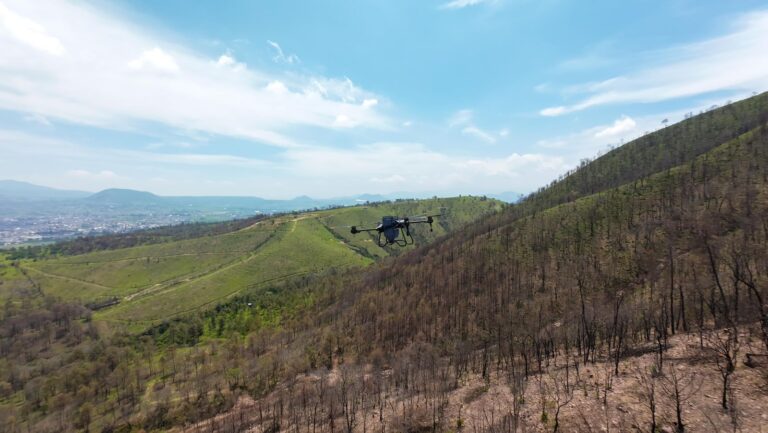 Ya Arrancó La Innovadora Técnica De Reforestación Con Drones Para Recuperar Bosques Michoacanos - Changoonga.com