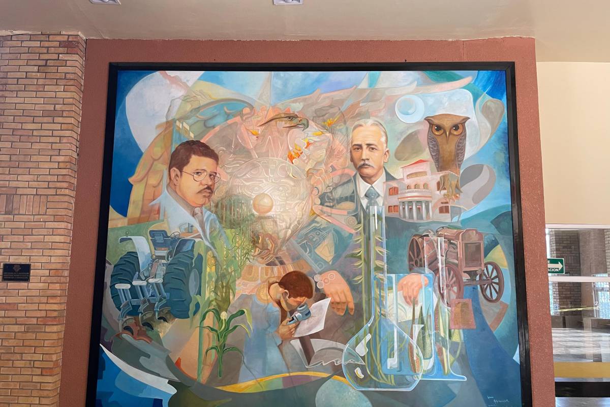 para conservación de murales se requieren censo, autoridad y reglas claras