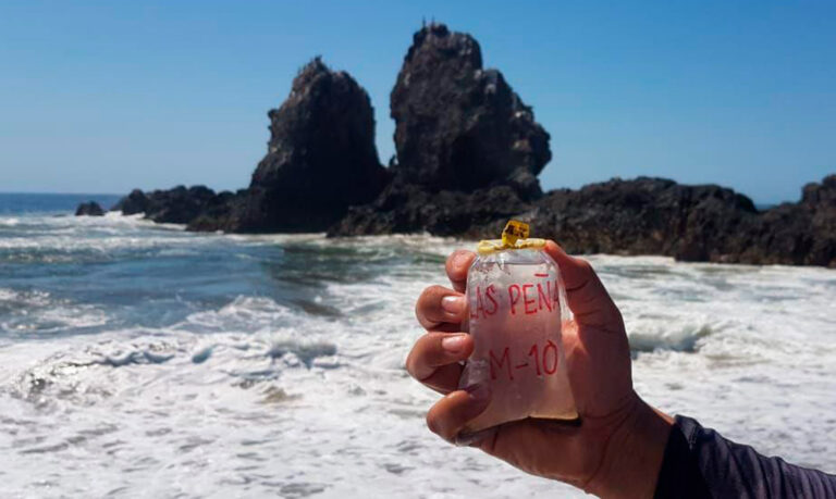 ¡Vamos A La Playas De Michoacán! Confirman Sus Aguas Están Limpias Para Vacacionar Este Verano