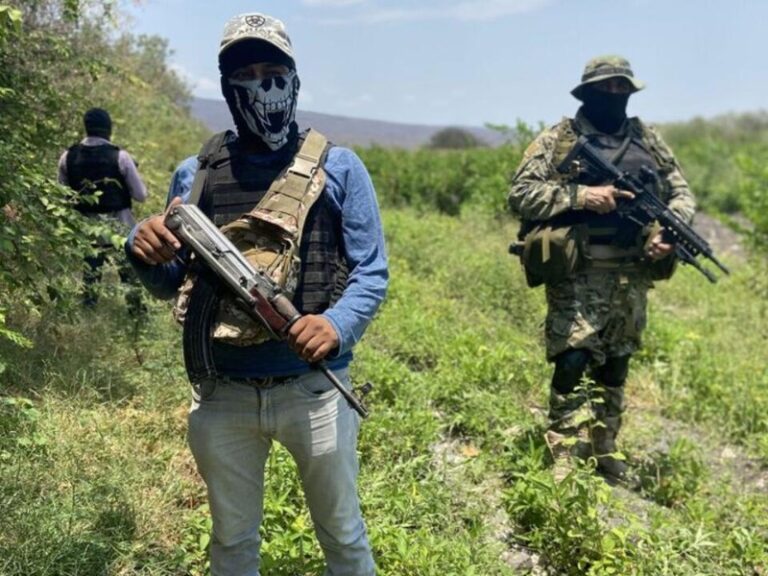 Cárteles mexicanos “se están yendo a la quiebra: Embajador Johnson
