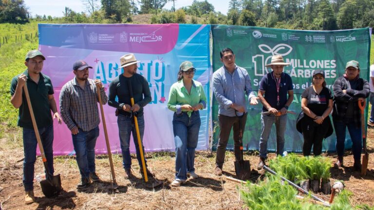 Chavos Plantan +De 50 Mil Árboles En Reforestación Simultánea En 16 Municipios De Michoacán - Changoonga.com