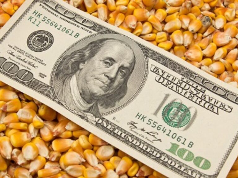 Crisis Alimentaria: Campesinos critican sumisión del gobierno ante EE.UU.