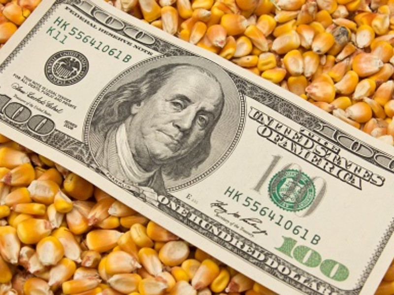 Crisis Alimentaria: Campesinos critican sumisión del gobierno ante EE.UU.