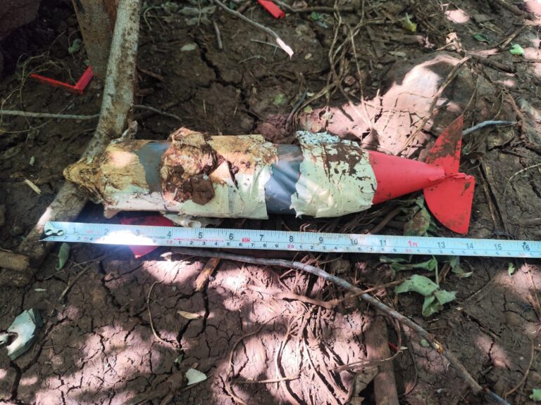 Crónica| Plantío De Mota, Narcominas Y Campamento Abandonado, Localizados En Tierra Caliente - Changoonga.com