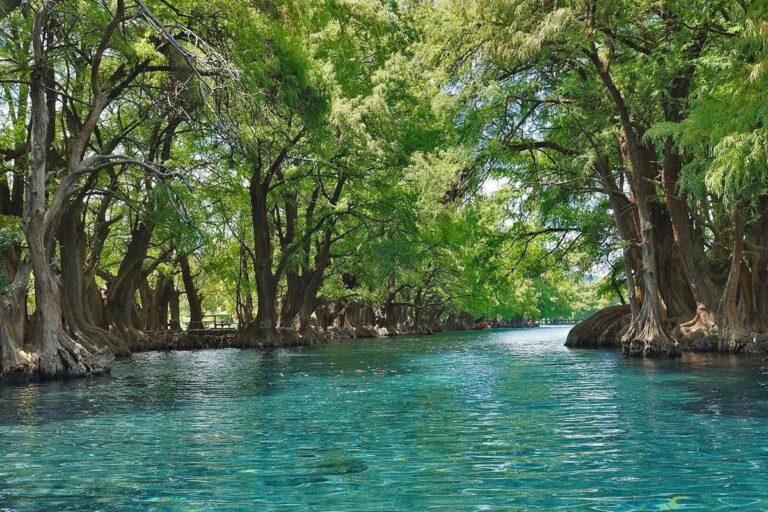 Date Una Escapadita Al Lago De Camécuaro, Joya Natural De Michoacán - Changoonga.com