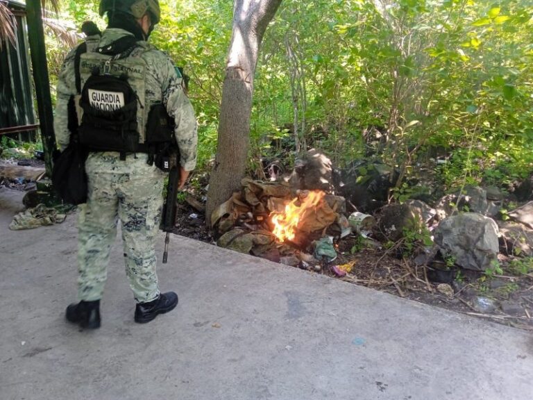 Destruyen campamento ilícito en Buenavista