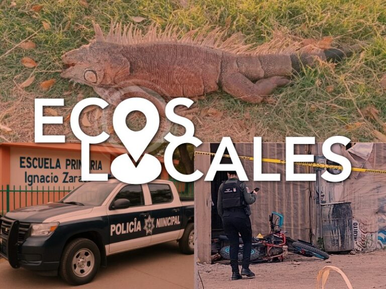 Ecos Locales: Ejecutan a Hombre, Mueren Animales, Tomas Clandestinas