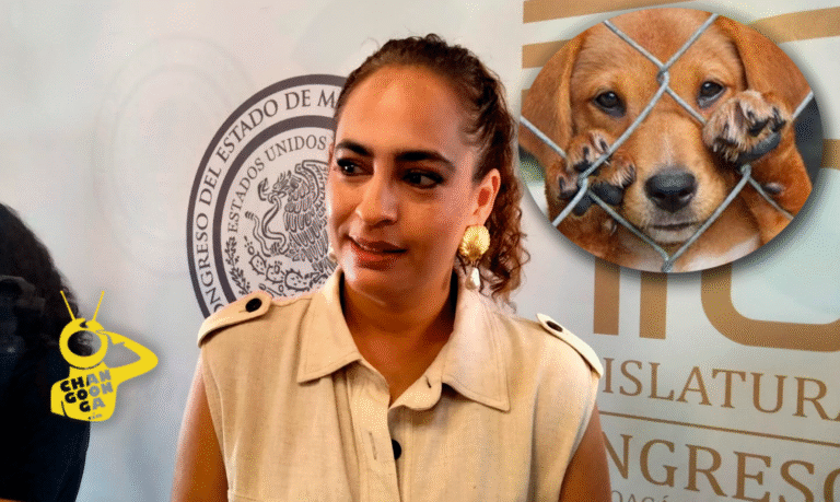 El Verde Pide Al Congreso De Michoacán Dictaminar YA Reformas Que Endurecen Sanciones Por Maltrato Animal - Changoonga.com