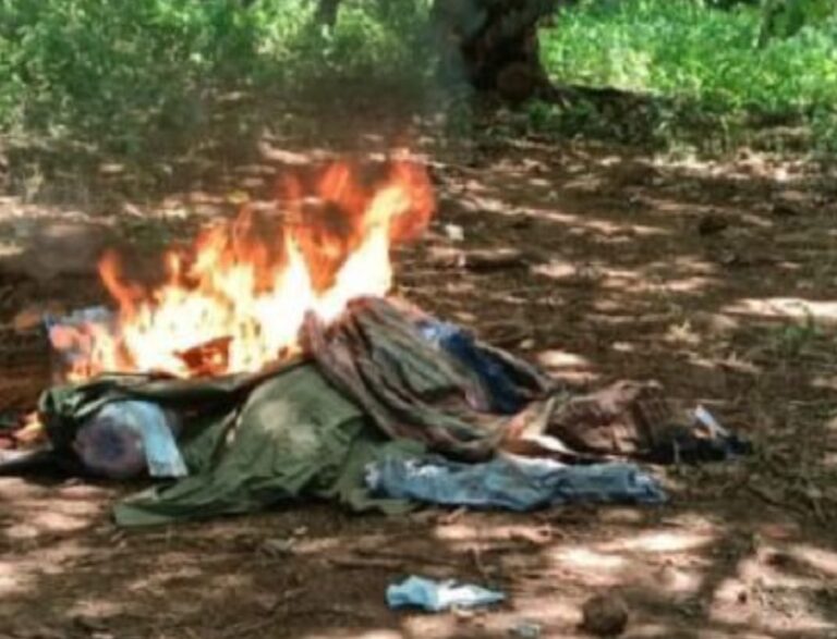 En Apatzingán ‘Revientan’ Narcocampamento Y Decomisan Explosivos  - Changoonga.com