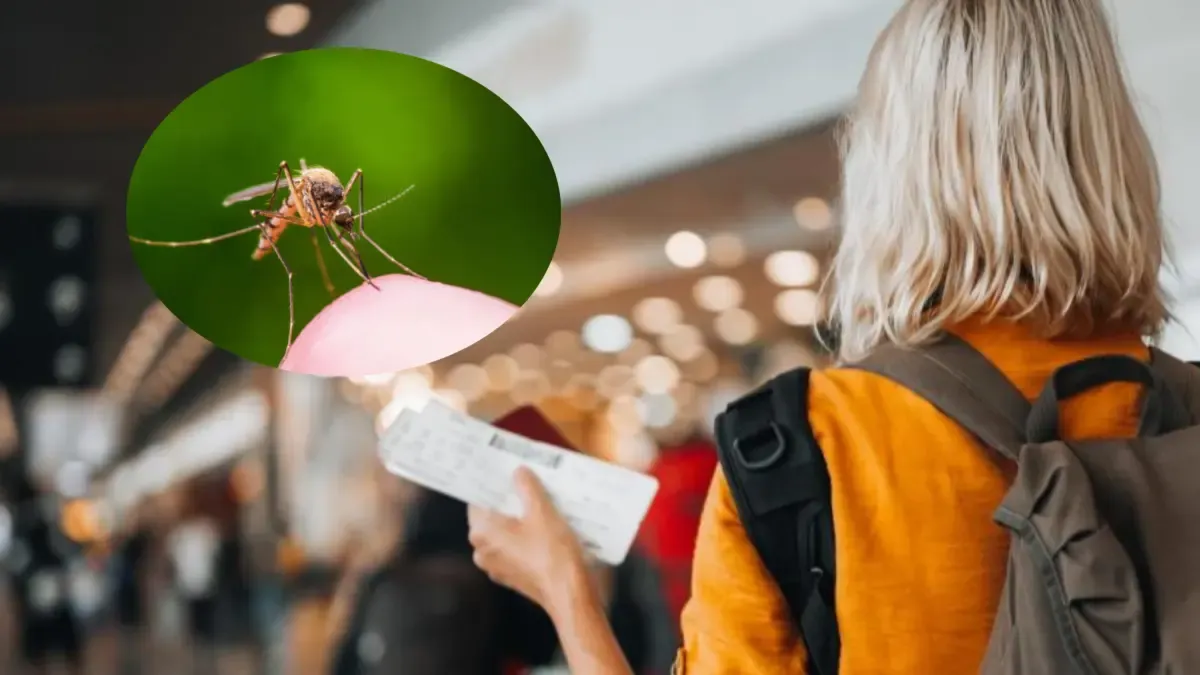 Estados Unidos advirtió a viajeros que no vayan a este país por un extraño virus transmitido por mosquitos