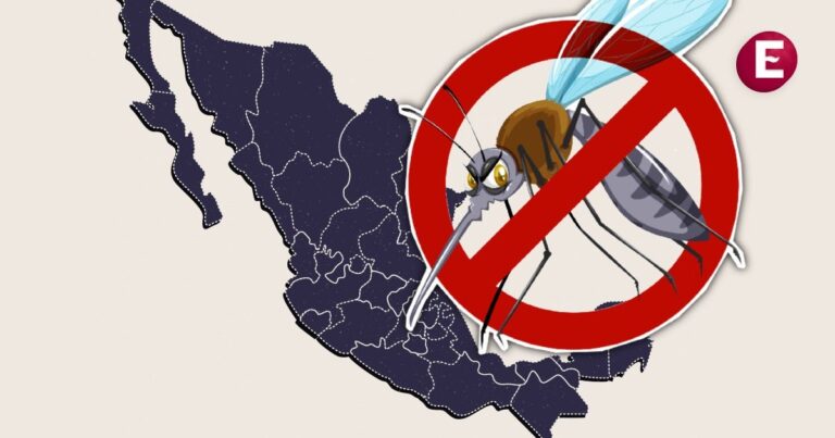 Este es el número de casos y las muertes en lo que va de 2025