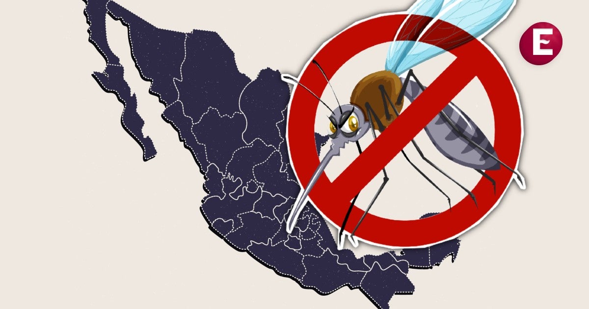 Este es el número de casos y las muertes en lo que va de 2025