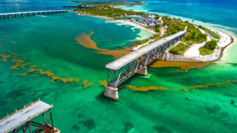 Este es el pueblo costero de Florida que todos deberían conocer en verano (es como ir al Caribe)