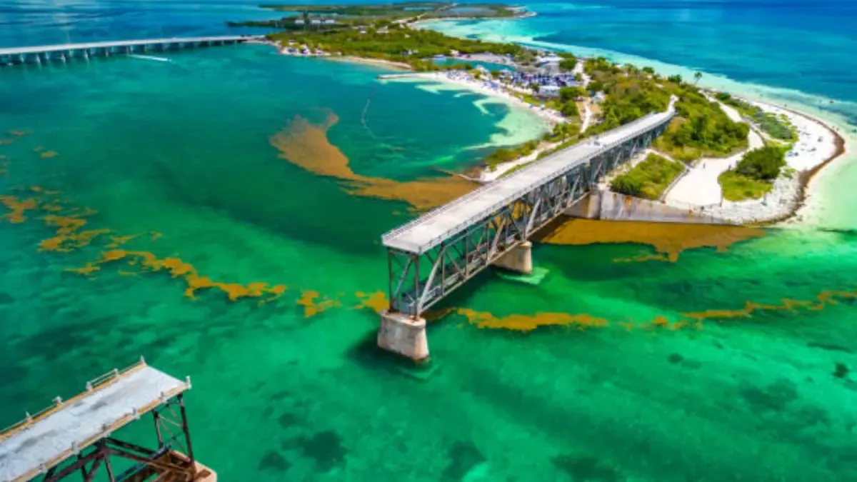 Este es el pueblo costero de Florida que todos deberían conocer en verano (es como ir al Caribe)