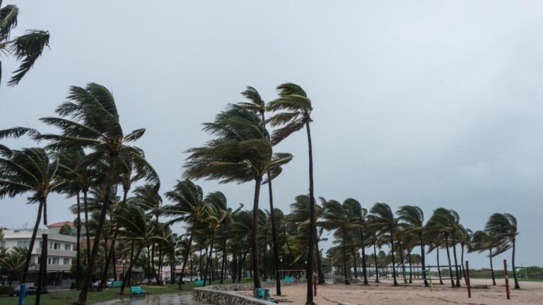 Fuertes tormentas ponen en alerta al centro de Florida con seguimiento minuto a minuto del radar